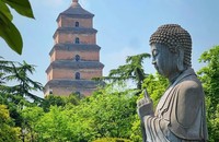 文章配图
