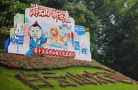 文章配图